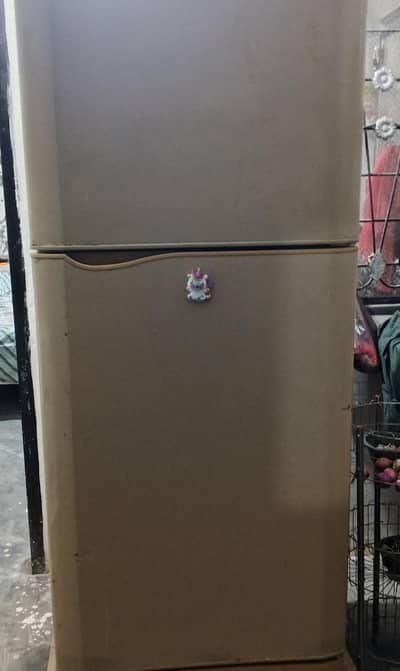 PEL Refrigerator For Sale