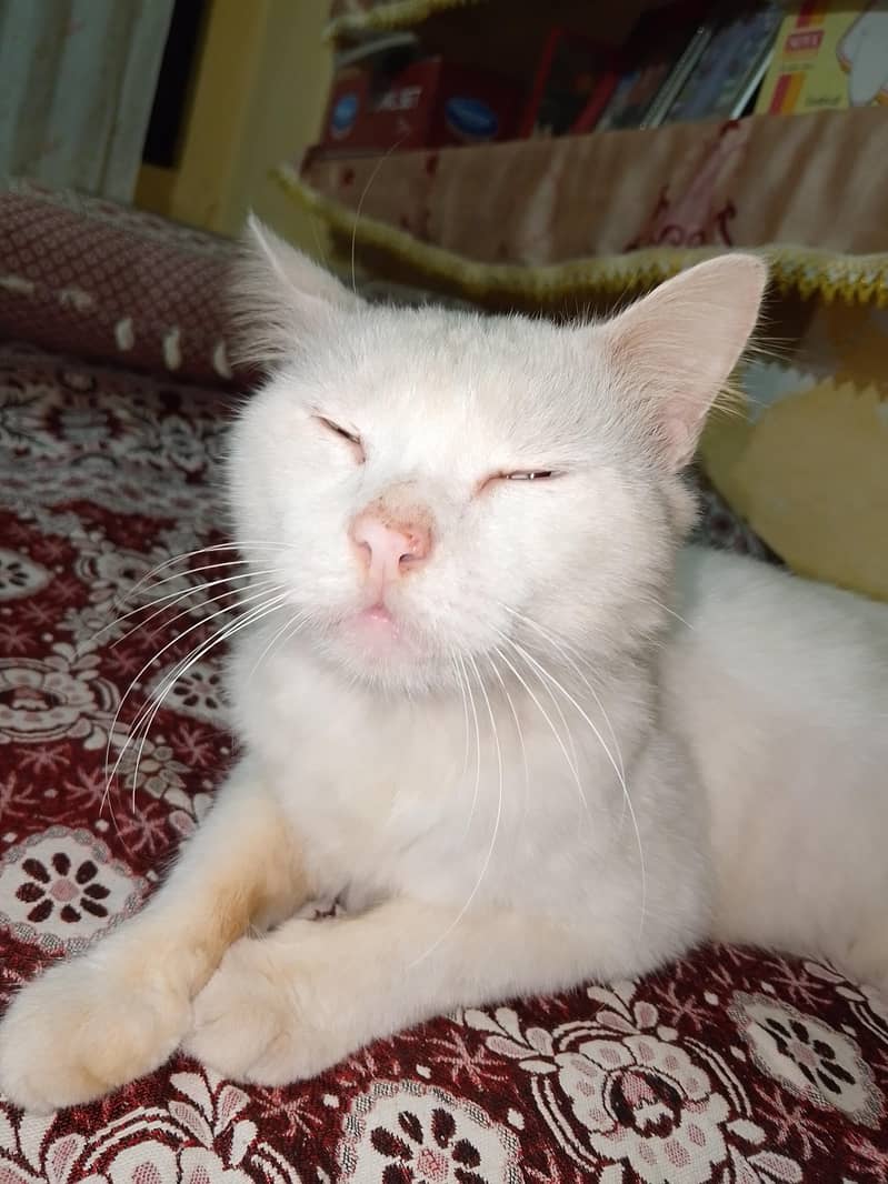 for sale 1