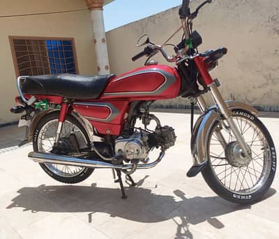 bacik for sale
