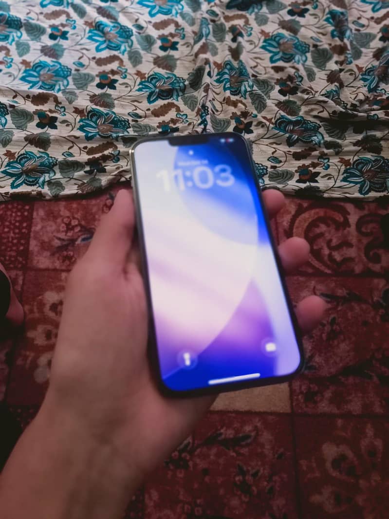 Apple iPhone 13 Pro Max 3