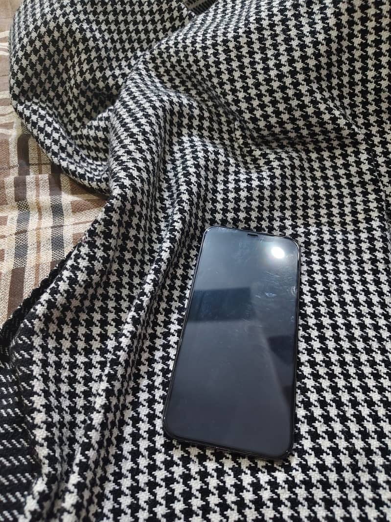 Apple iPhone 12 Pro Max 1