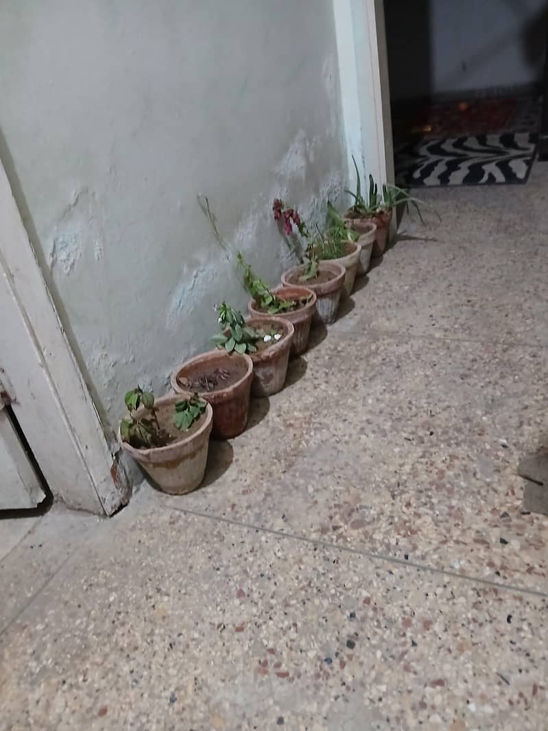 pots with mud only 0