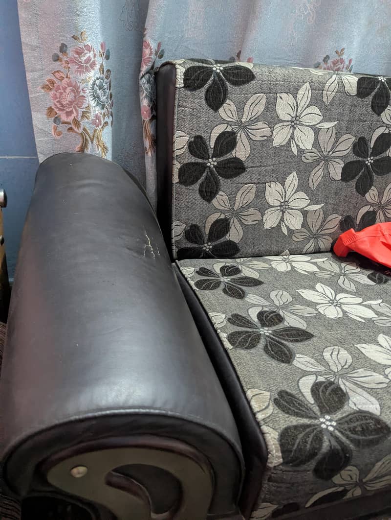 sofa cum bed 1