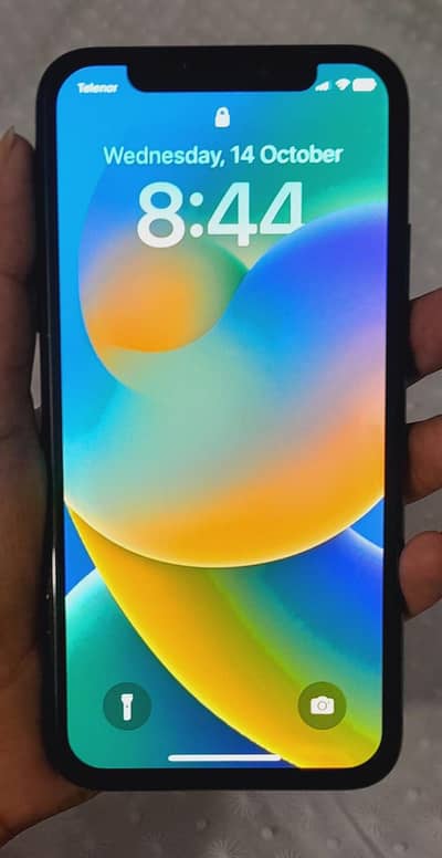 Apple iPhone X
