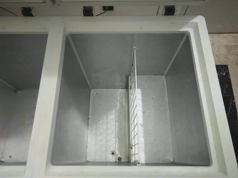 hauer freezer 1