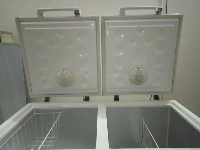 hauer freezer 3