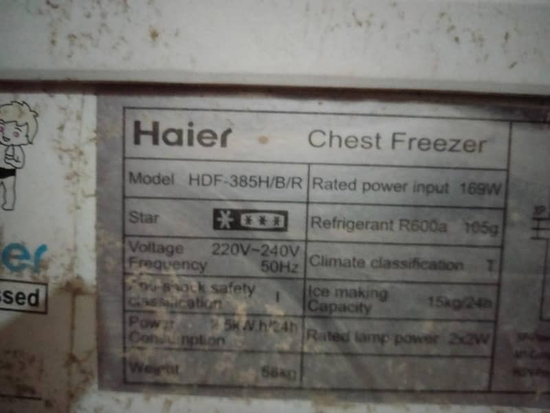 hauer freezer 4