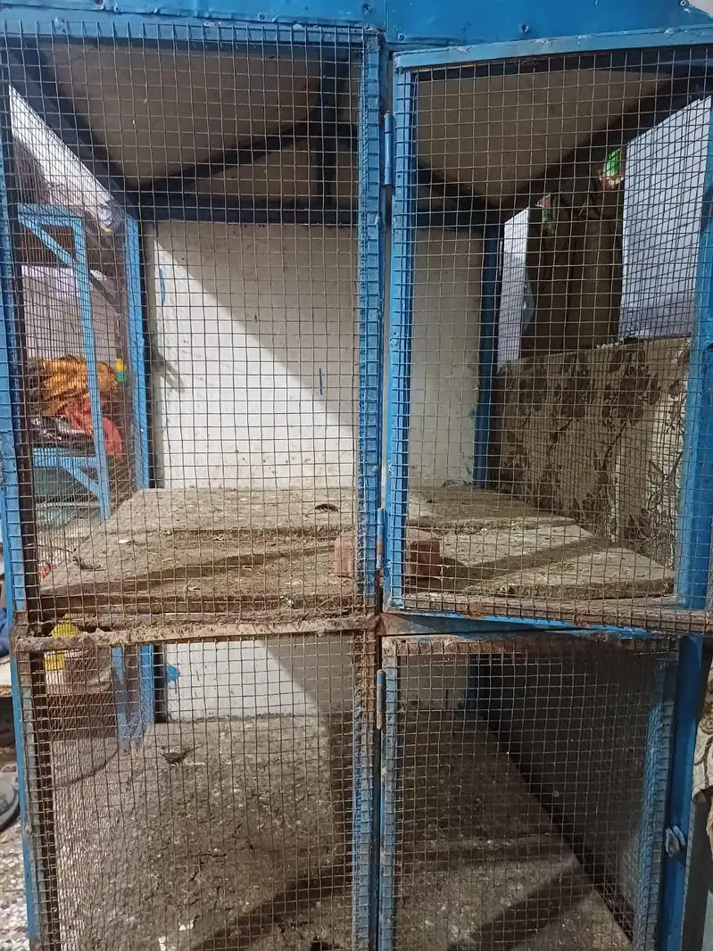 Heavy duty handmade 2 portion 4 door cage Hut shape Assel Hen Pigeon — photo 2