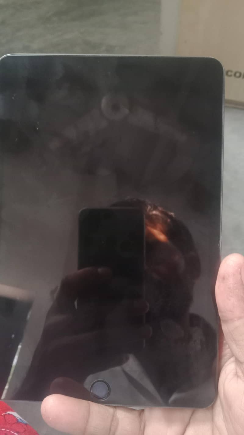 ipad mini 5 1