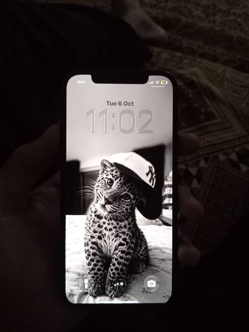 Apple iPhone 12 2