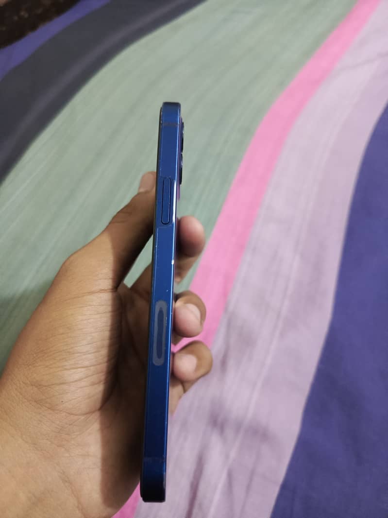 Apple iPhone 12 1