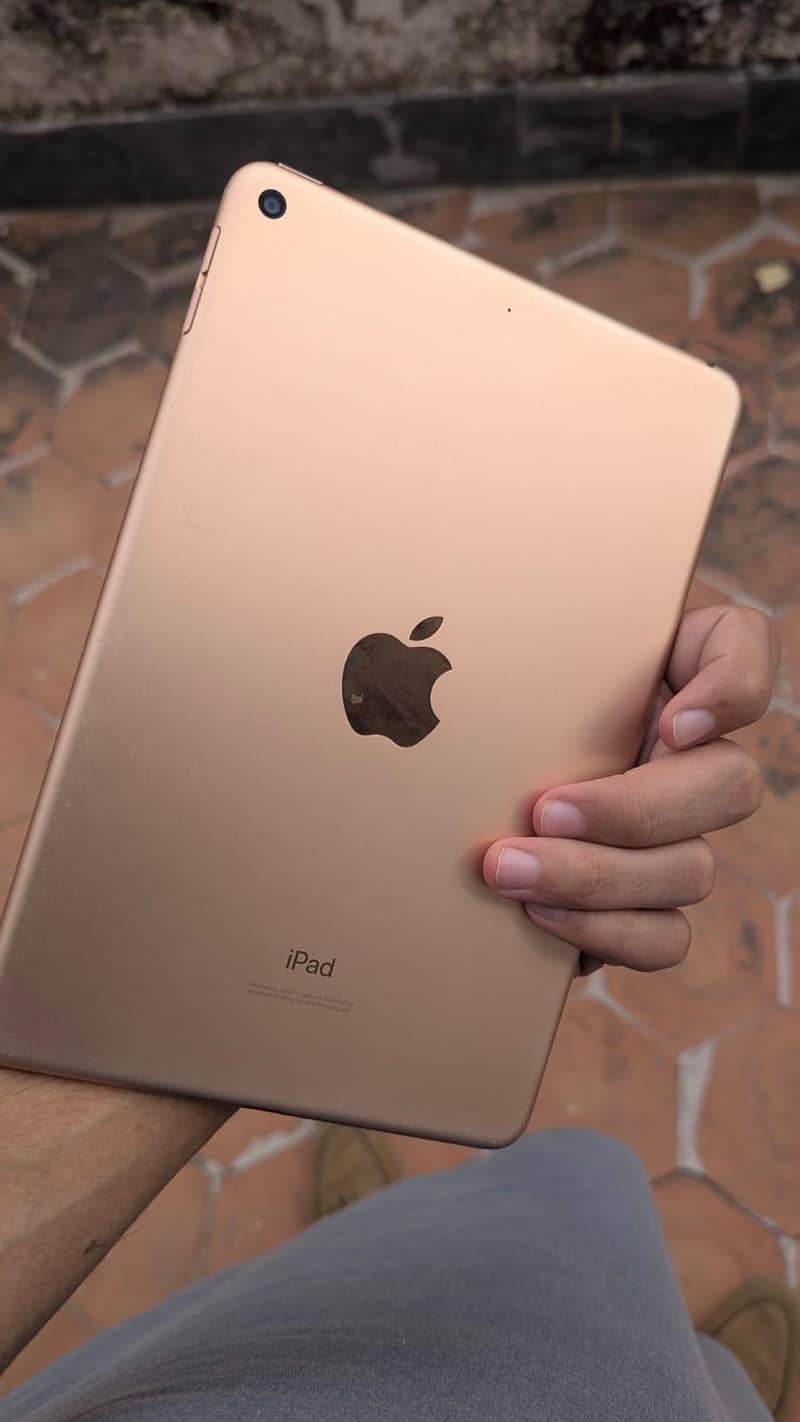 ipad mini 5 0