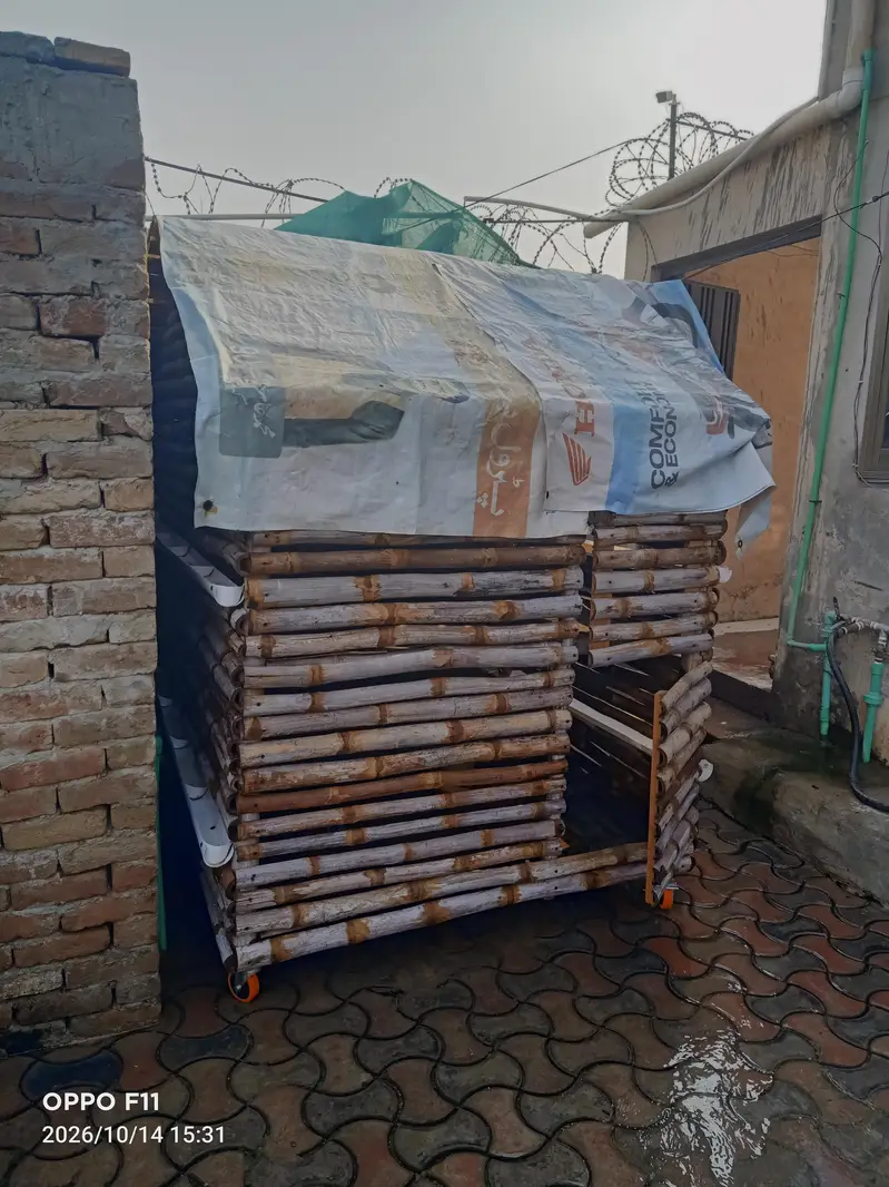 with Cage — photo 2