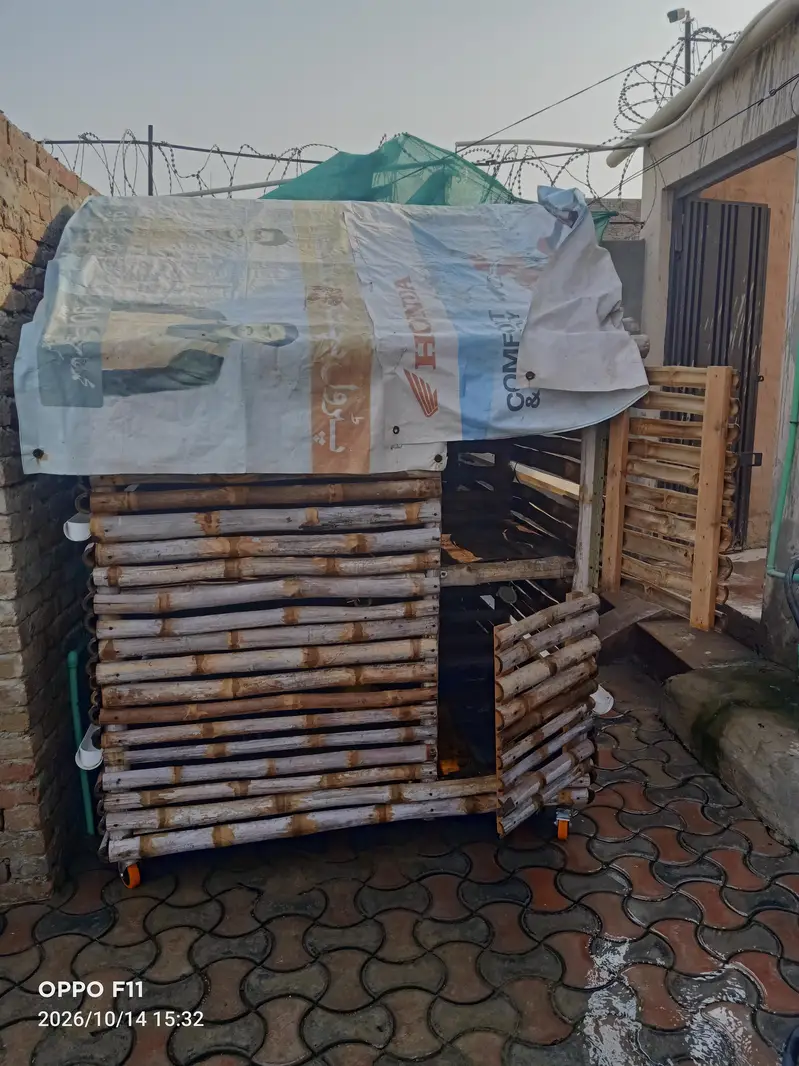 with Cage — photo 3
