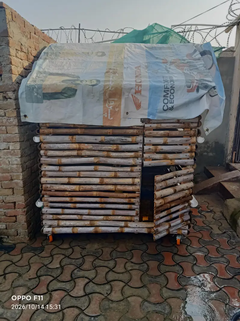 with Cage — photo 5