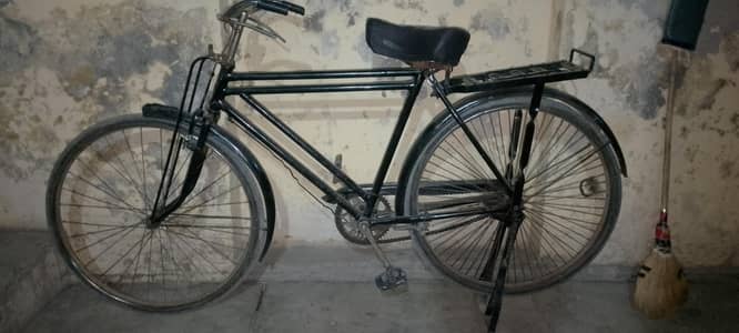 old Sohrab 10kg waite 0304-47-45-459