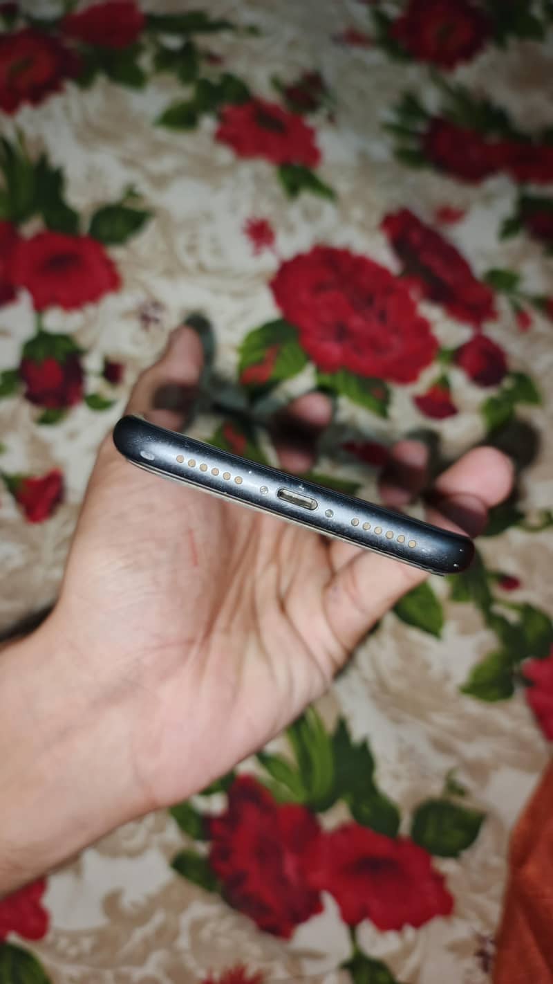 Apple iPhone 11 3