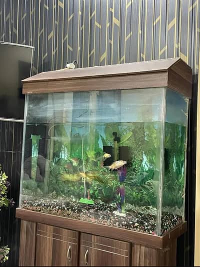 Aquarium with fishes