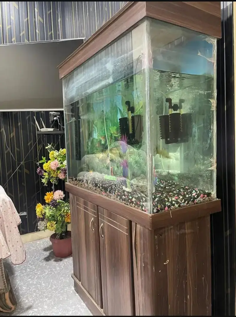 Aquarium with fishes — photo 5