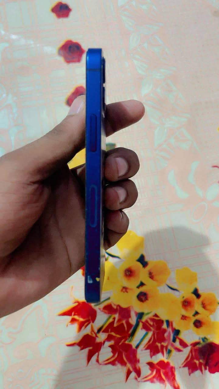 Apple iPhone 12 mini 5