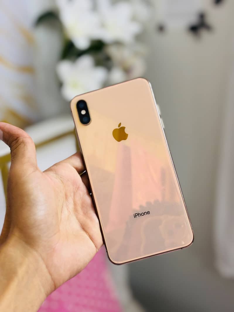 Apple iPhone XS Max 1