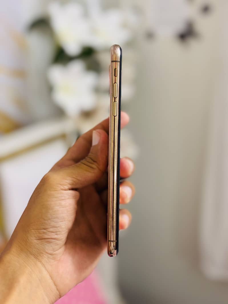 Apple iPhone XS Max 5