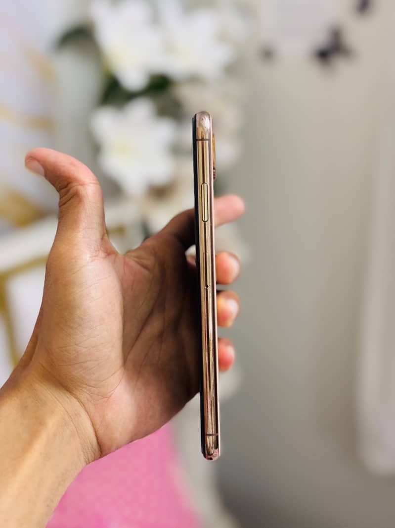 Apple iPhone XS Max 6