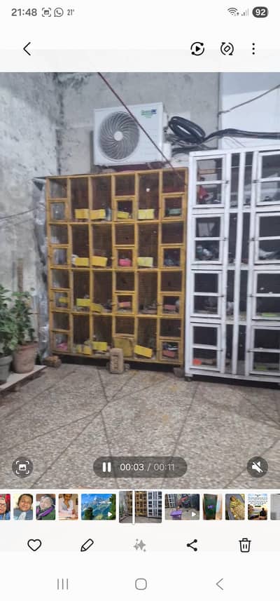 I am feeling 12 box cage good condition
