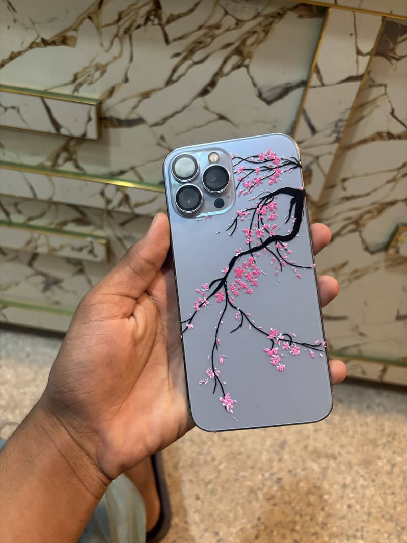 Apple iPhone 13 Pro Max 3