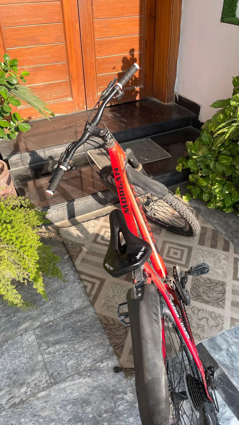 morgan bicycle 3