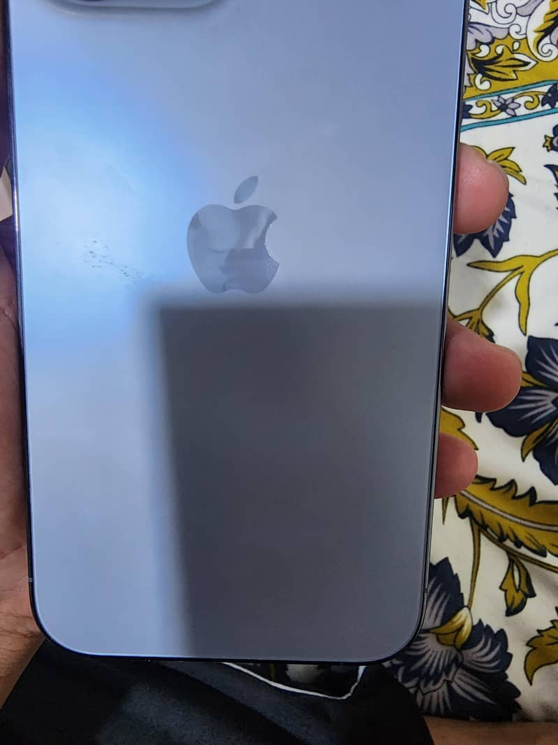 Apple 13 PRO max 4