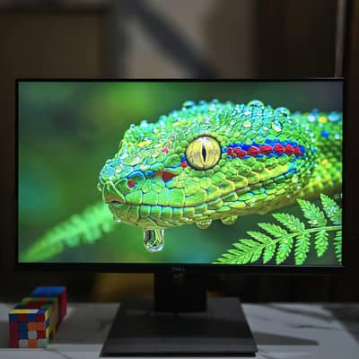DELL P2419H 24 inch FHD Borderless LED