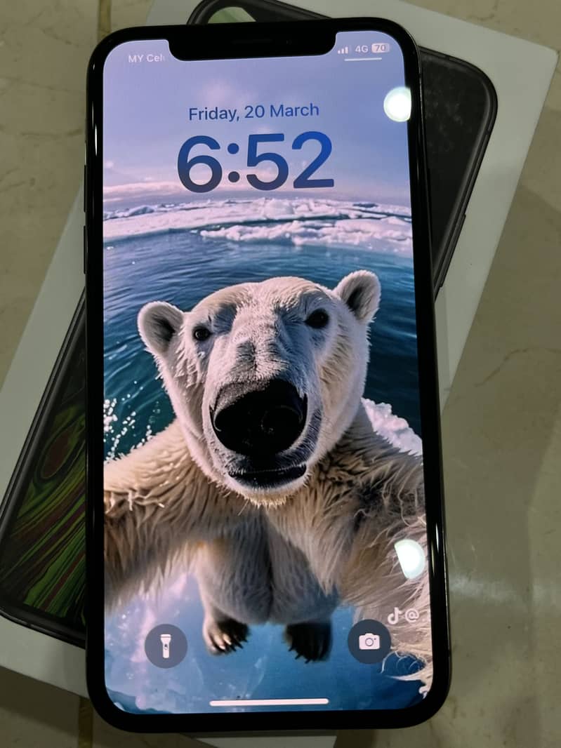 Apple iPhone XS 1