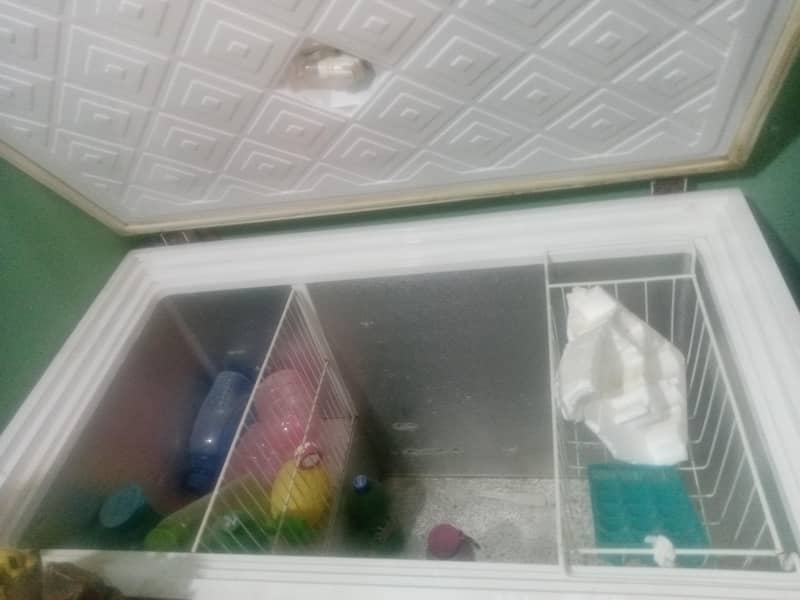 Freezer 4