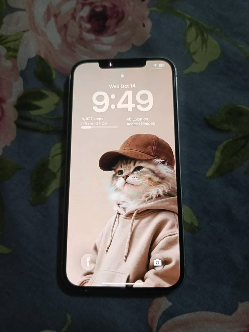 Apple iPhone 12 Pro Max 1