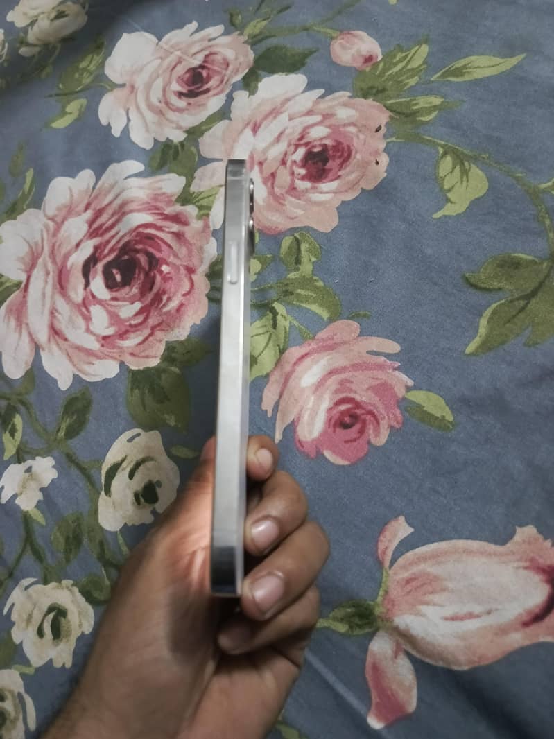 Apple iPhone 12 Pro Max 2