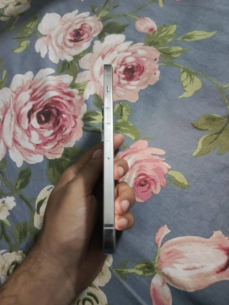 Apple iPhone 12 Pro Max 3