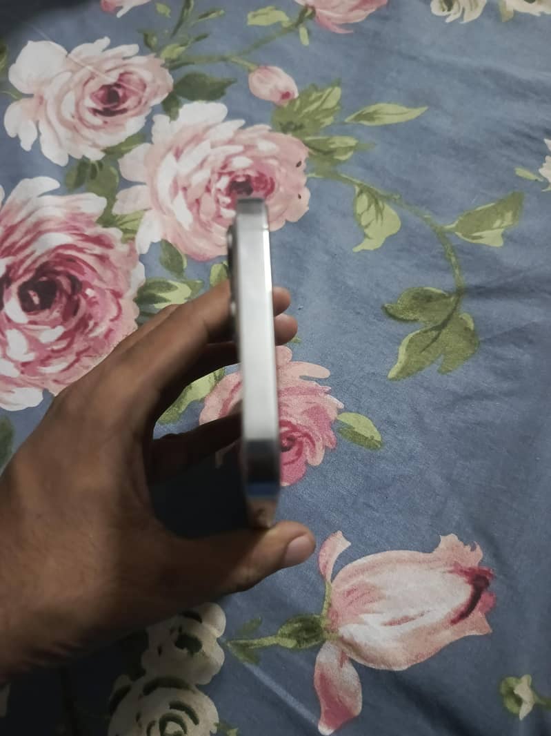 Apple iPhone 12 Pro Max 4