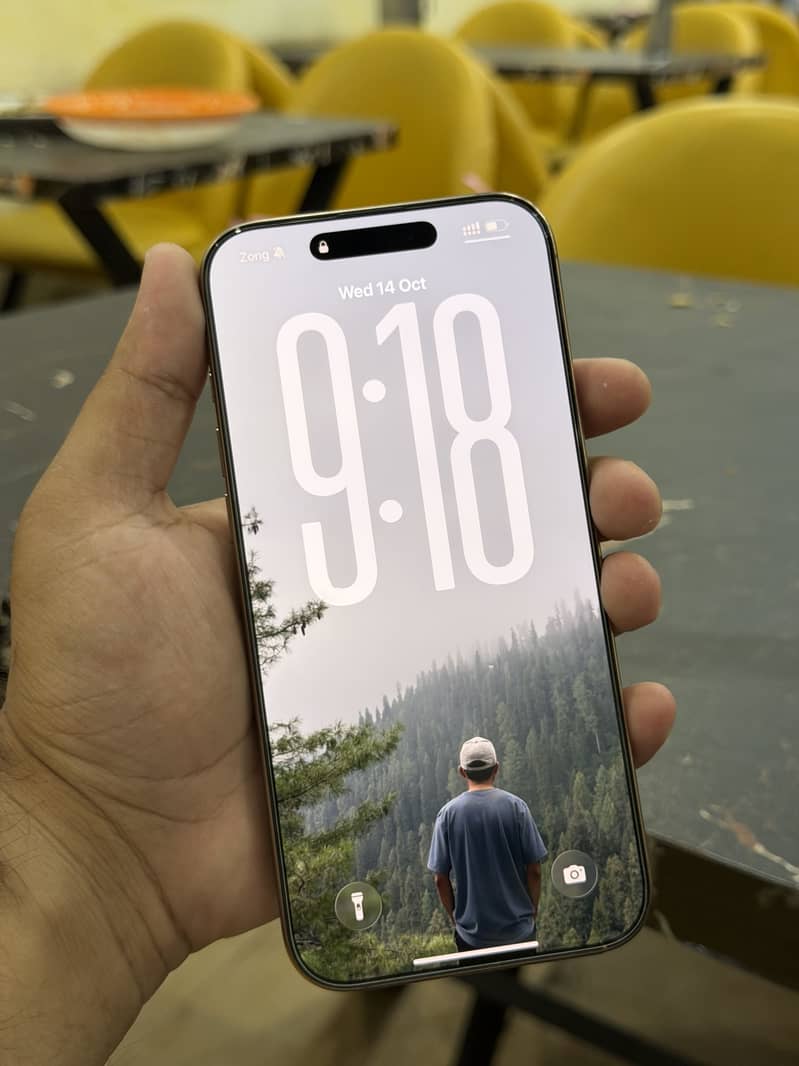 Apple iPhone 16 Pro Max 1