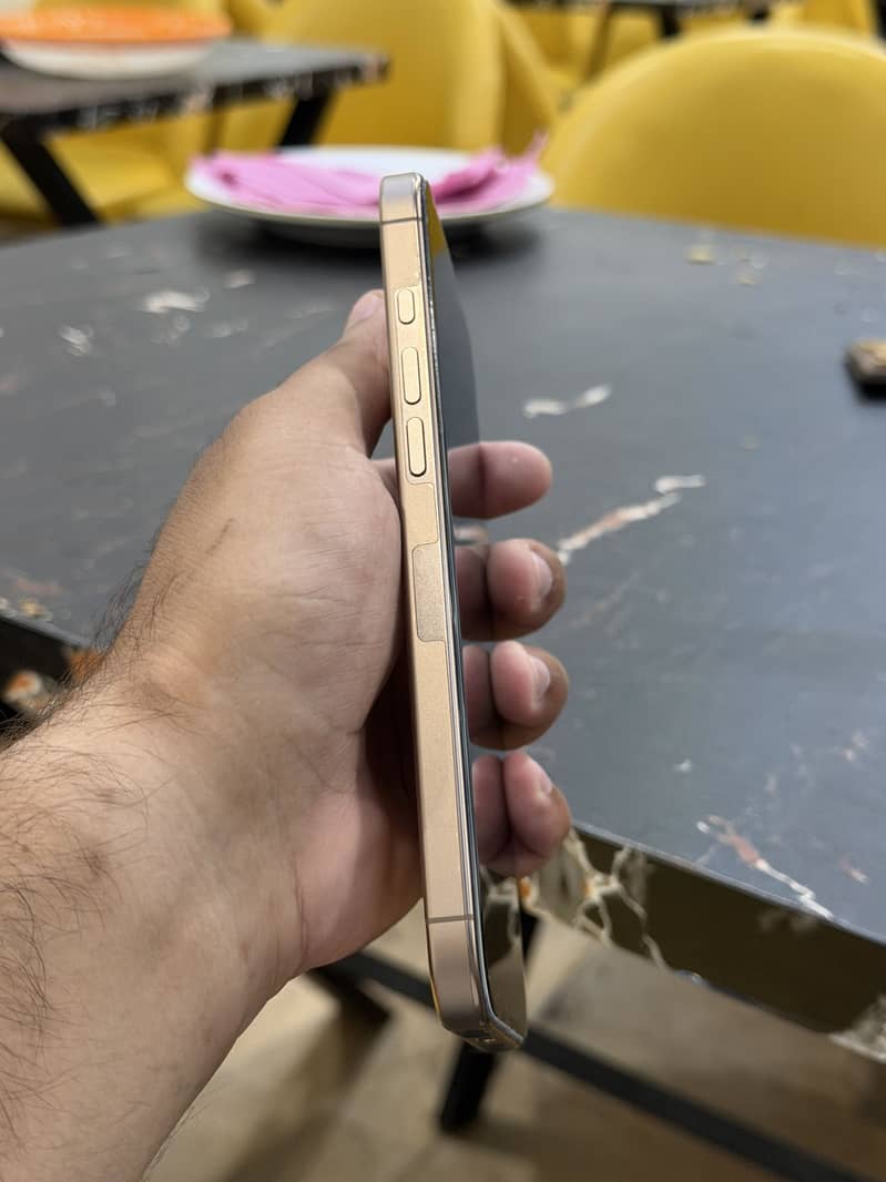 Apple iPhone 16 Pro Max 3
