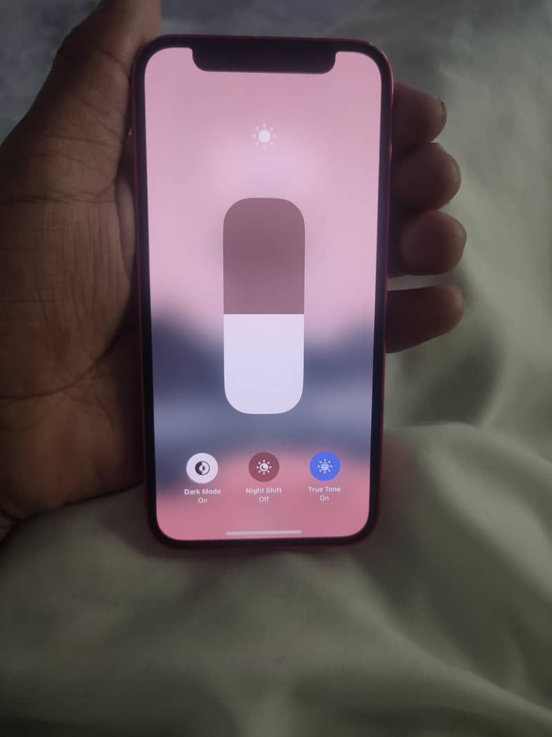 Apple iPhone 12 mini 1