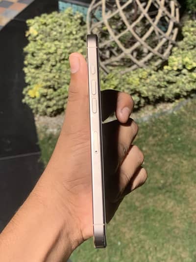 Apple iPhone 16 Pro Max fu