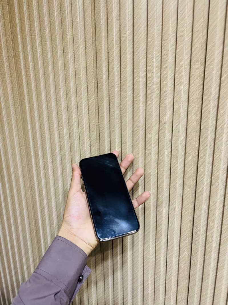 Apple iPhone 16 Pro Max 2