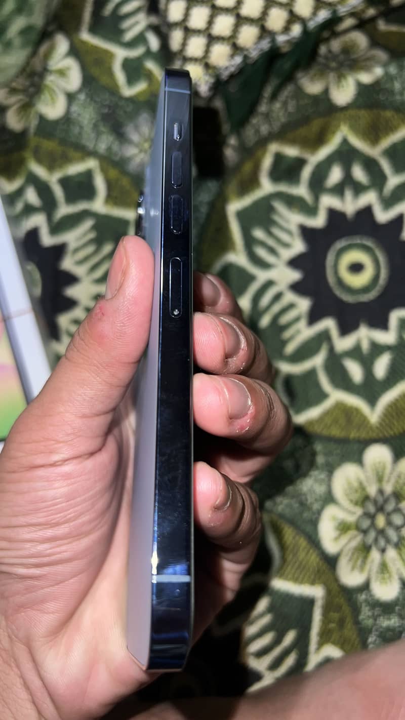Apple iPhone 13 Pro Max 2