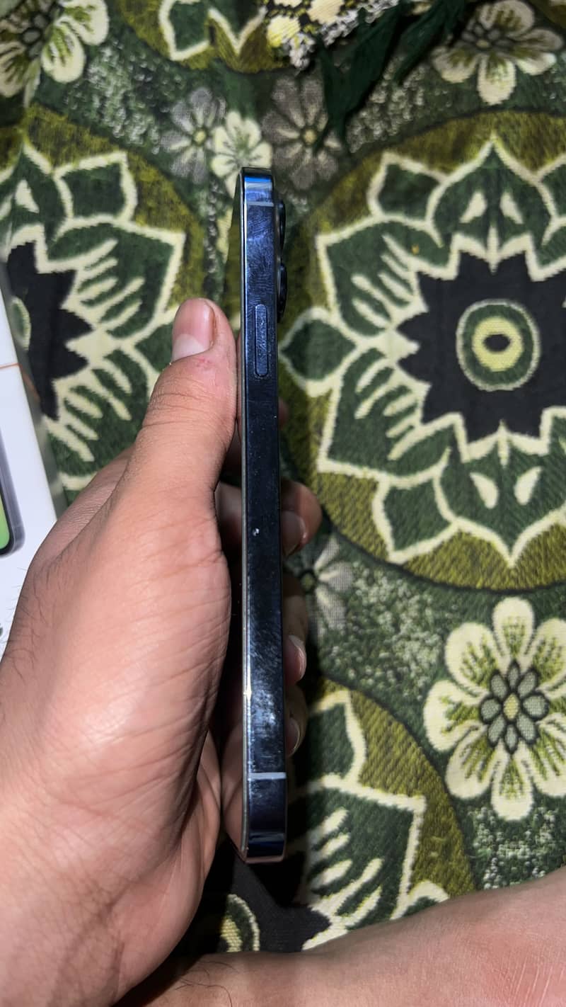 Apple iPhone 13 Pro Max 3