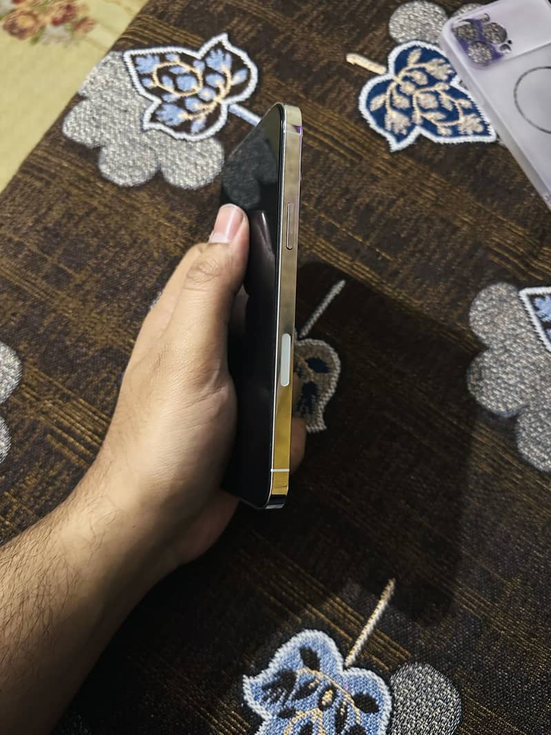 Apple iPhone 13 Pro Max 4