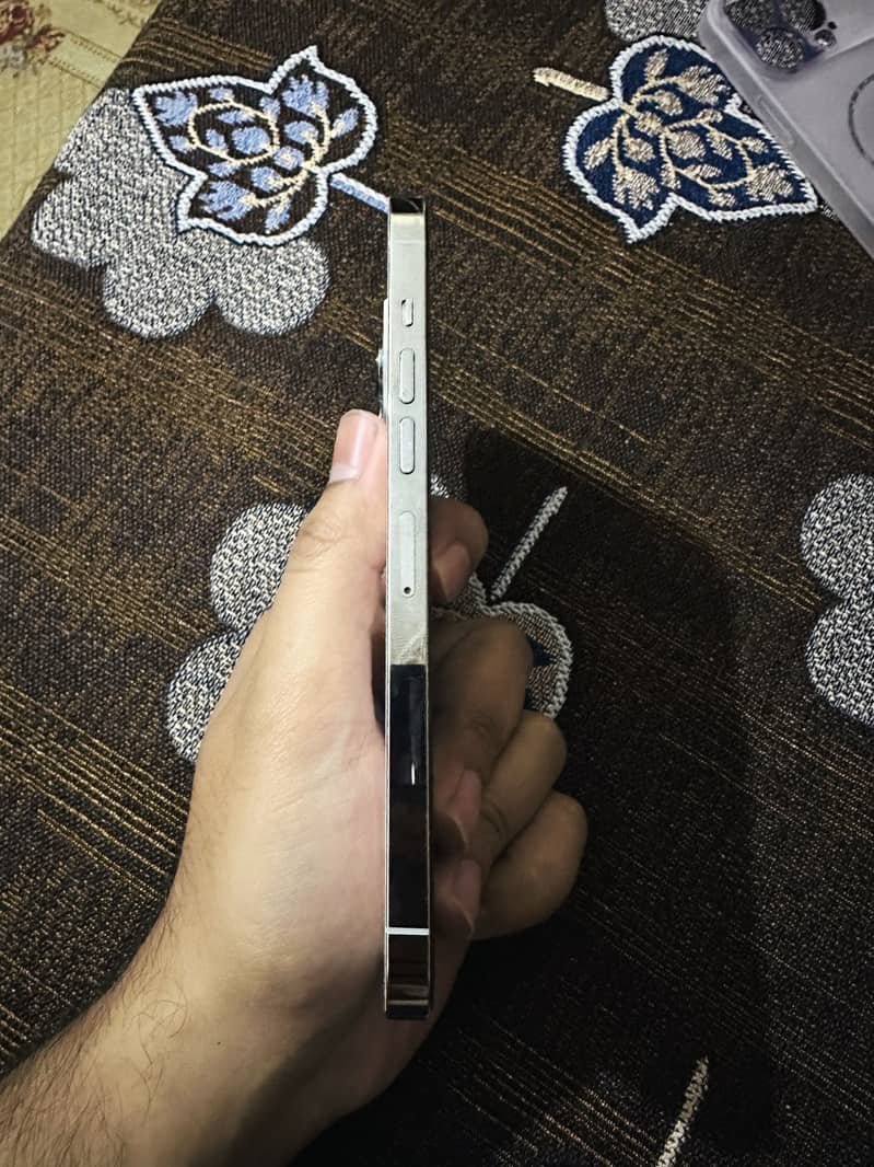 Apple iPhone 13 Pro Max 5
