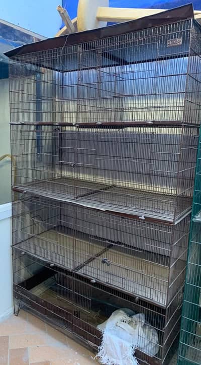 Bird Cages
