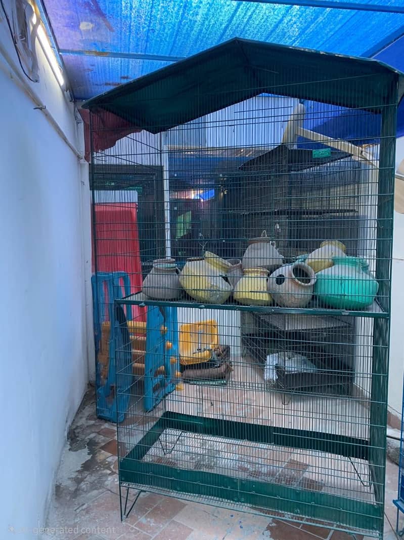 Bird Cages 1