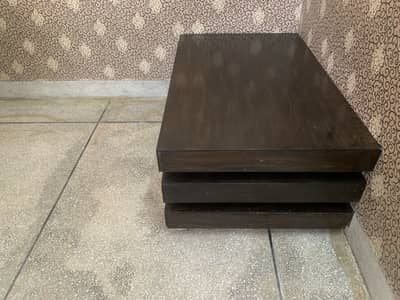Modern Dark Wood Coffee Table with Storage